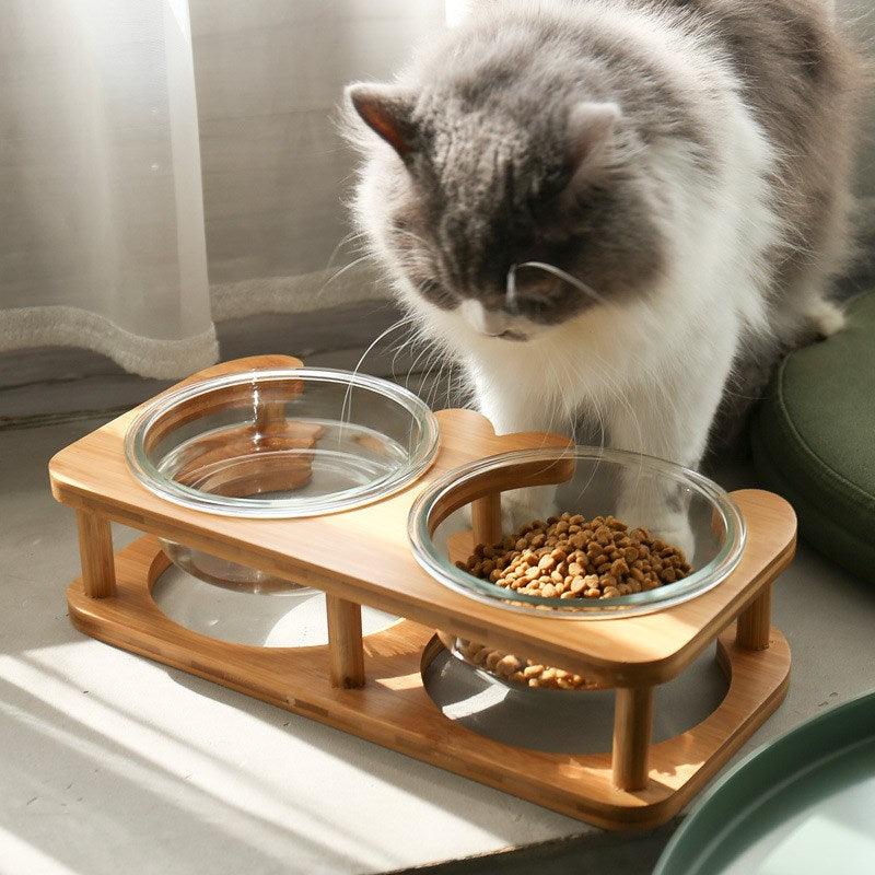 Elegant Glass Cat Food Bowl Set