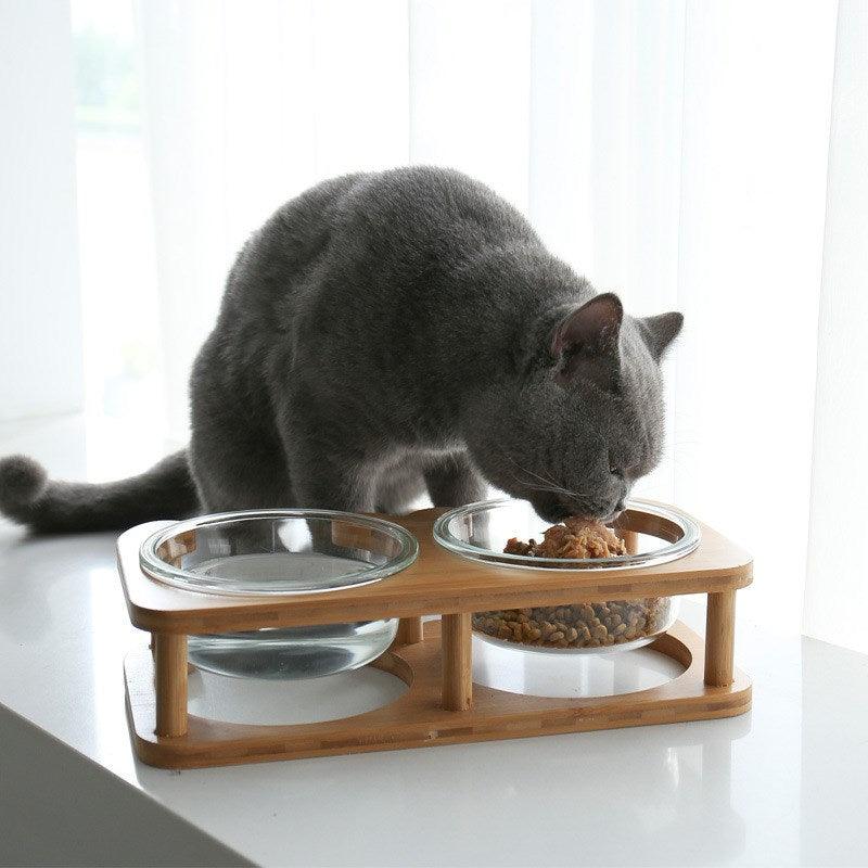 Elegant Glass Cat Food Bowl Set