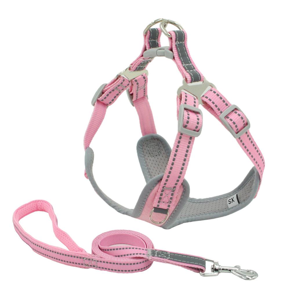 Safe Small Pets Leash