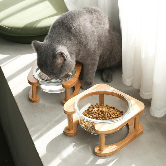 Elegant Glass Cat Food Bowl Set