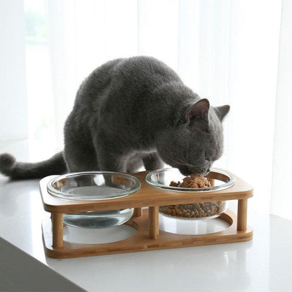 Elegant Glass Cat Food Bowl Set