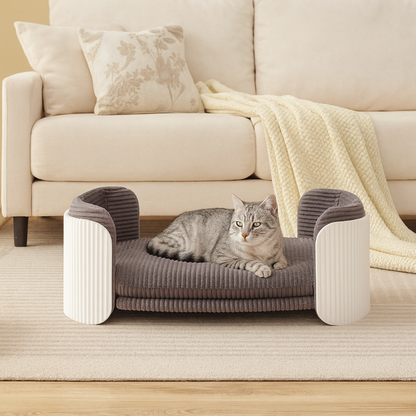Modern Cat Sofa Lounge