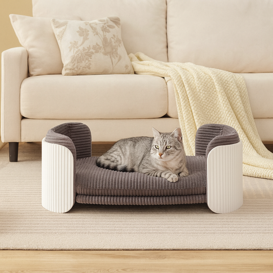 Modern Cat Sofa Lounge