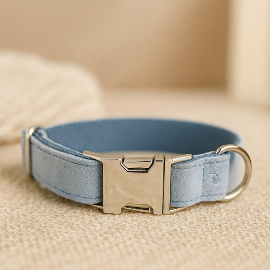 Elegant Velvet Pet Collar